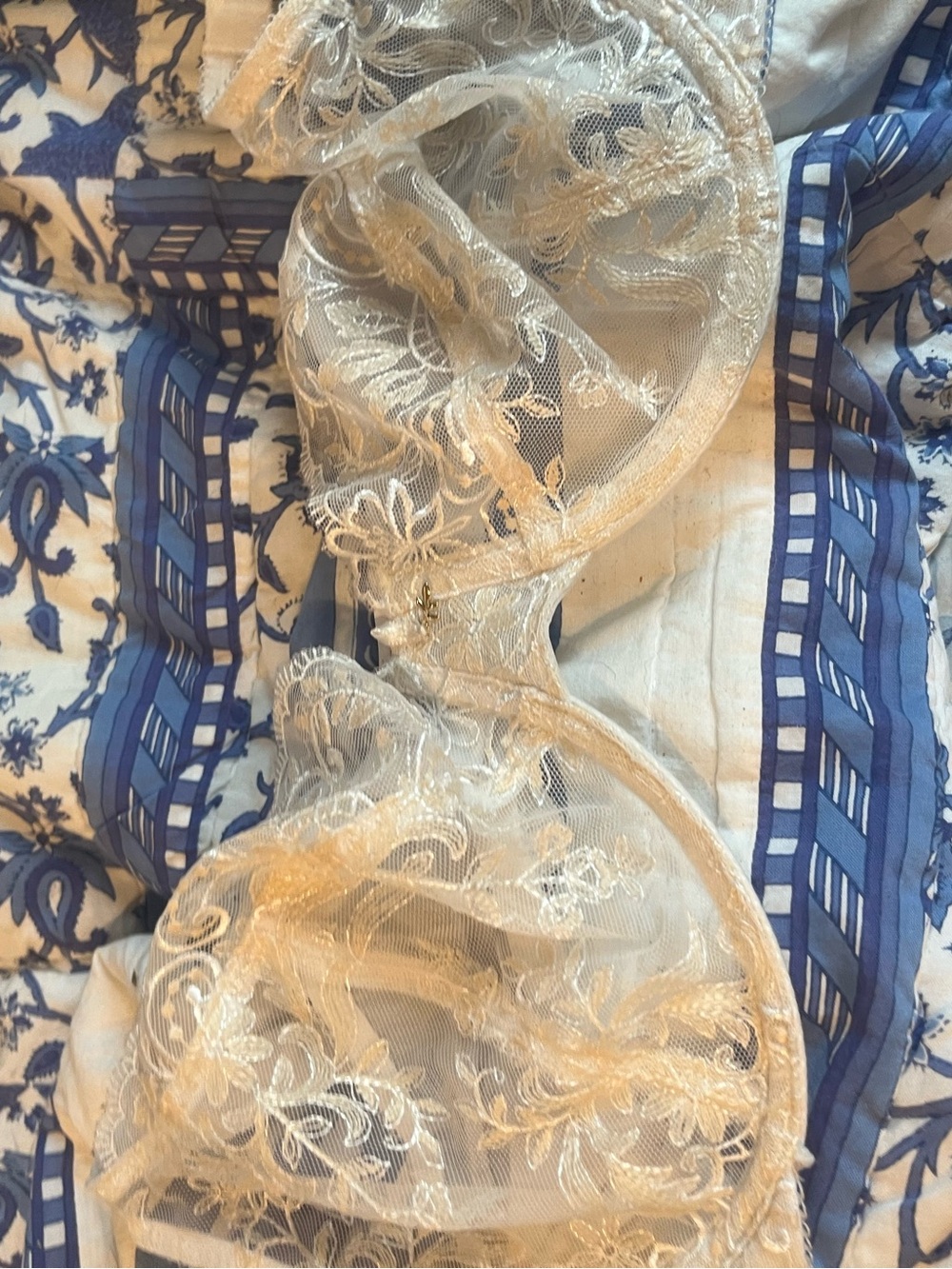 Wacoal Sheer Lace Unlined Bra in Champagne Beige